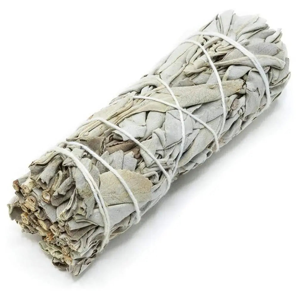 10cm White Sage Bundle