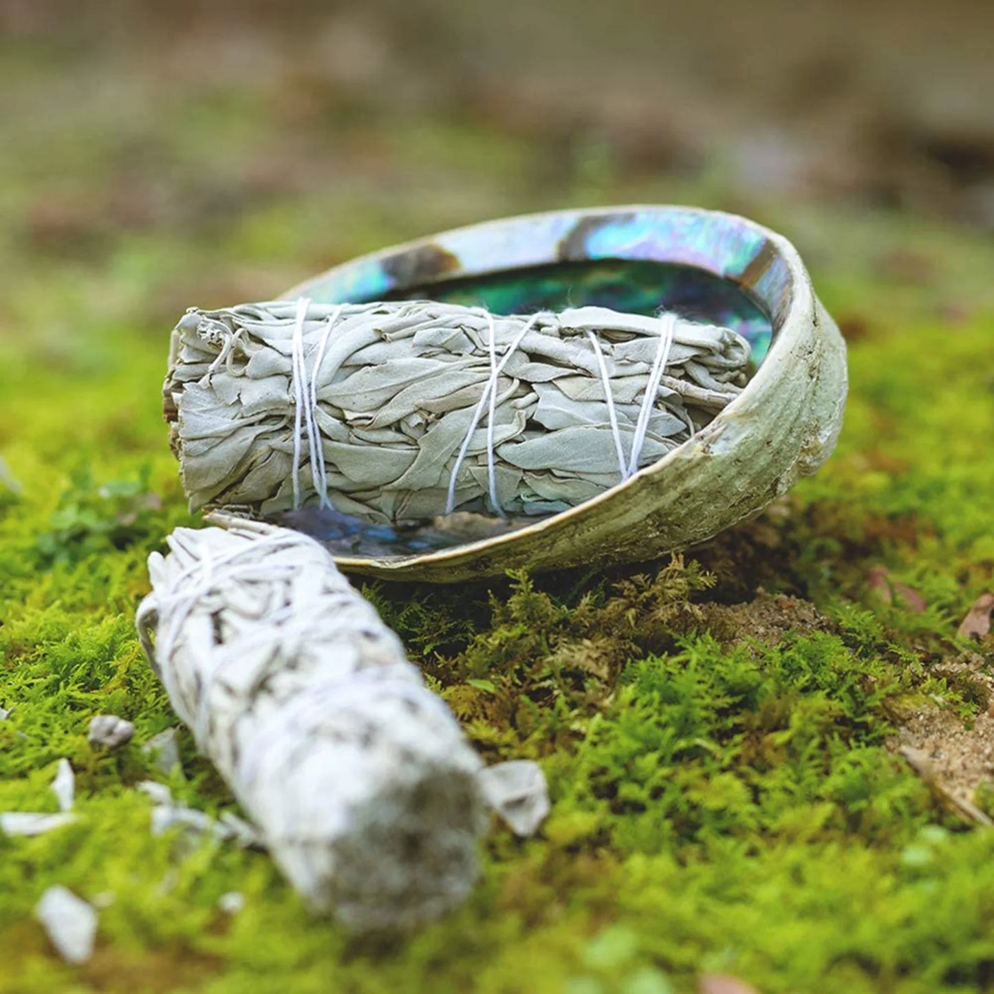 White Sage or Palo Santo 10cm