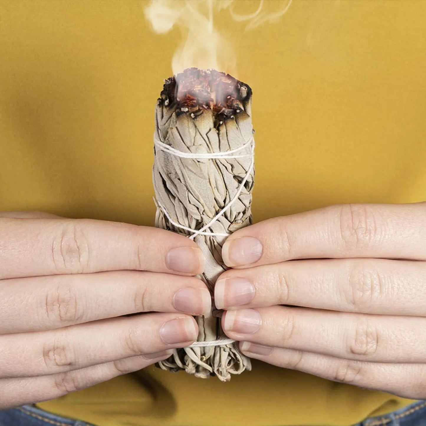White Sage or Palo Santo 10cm