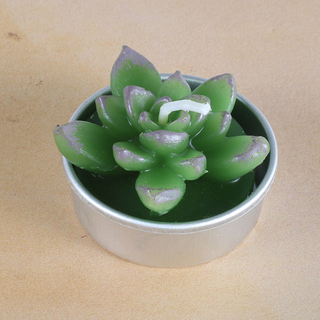 Succulent Plants Aromatic Tea Candles