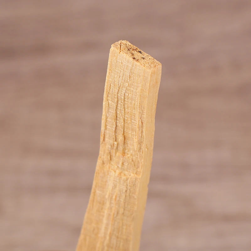 White Sage + Palo Santo Bundle