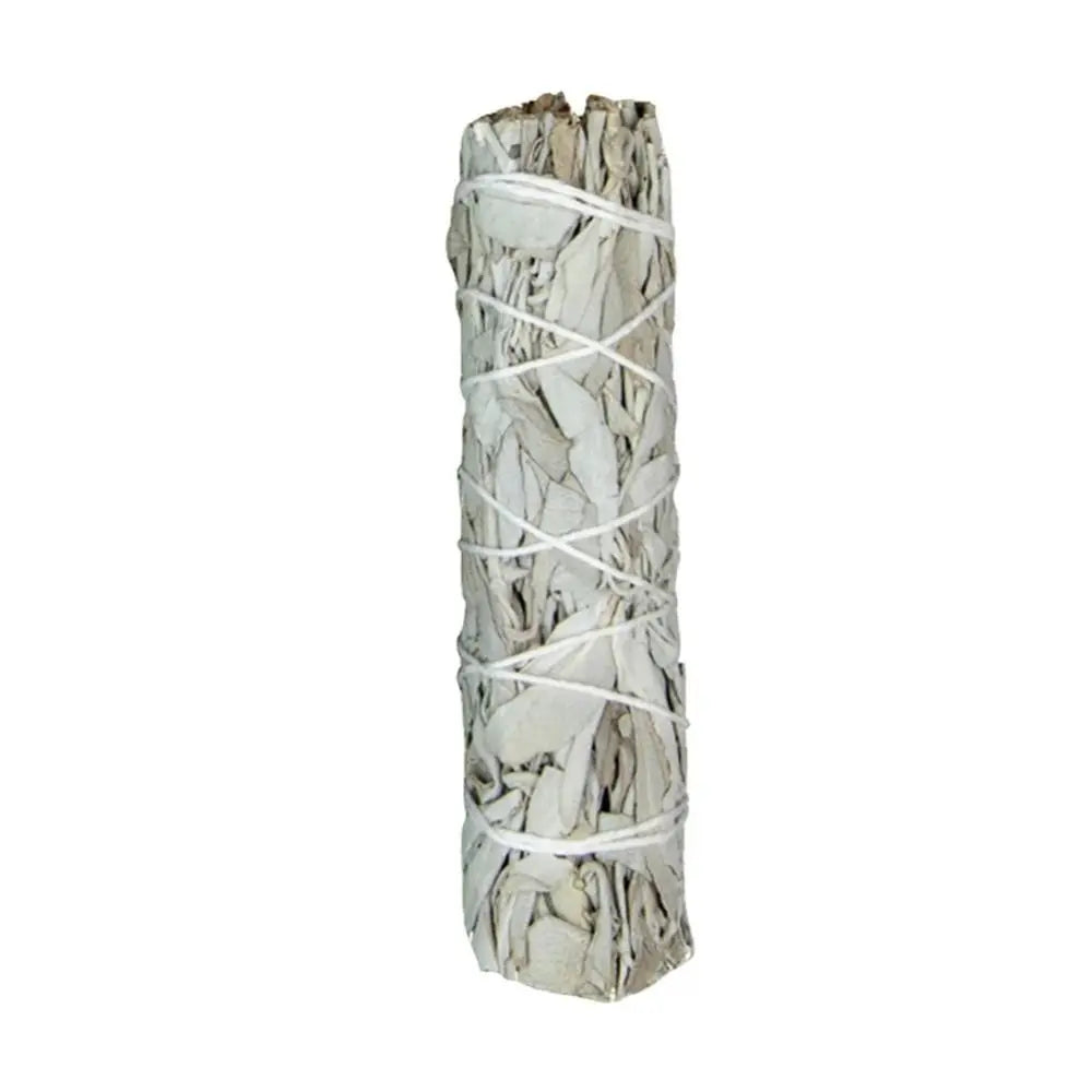 10cm White Sage Bundle