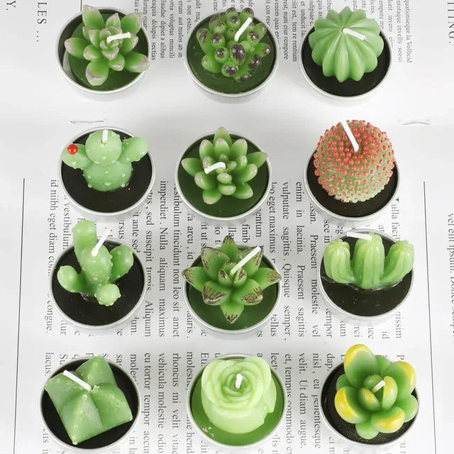 Succulent Plants Aromatic Tea Candles