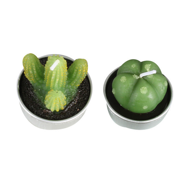 Succulent Plants Aromatic Tea Candles