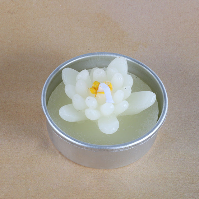 Succulent Plants Aromatic Tea Candles