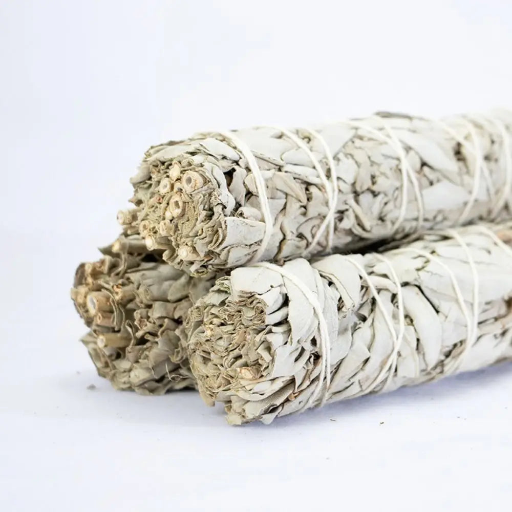 10cm White Sage Bundle