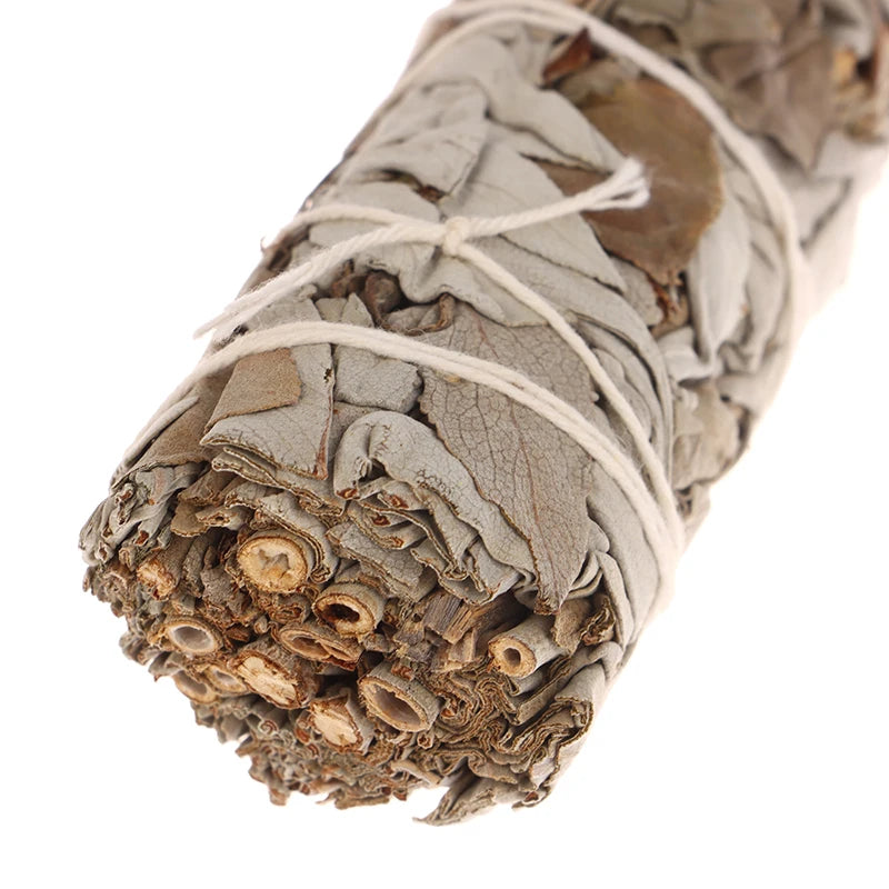 White Sage + Palo Santo Bundle