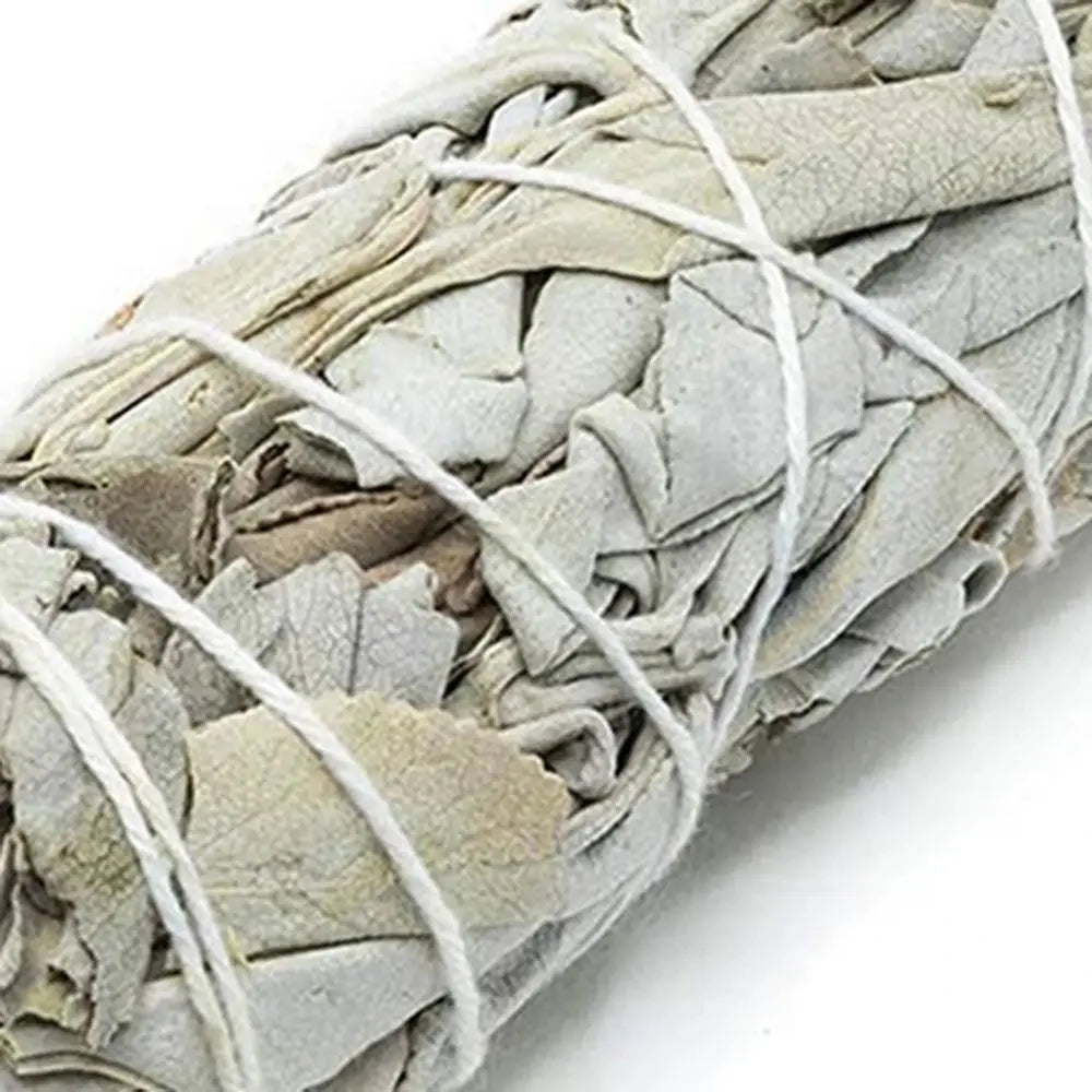 10cm White Sage Bundle