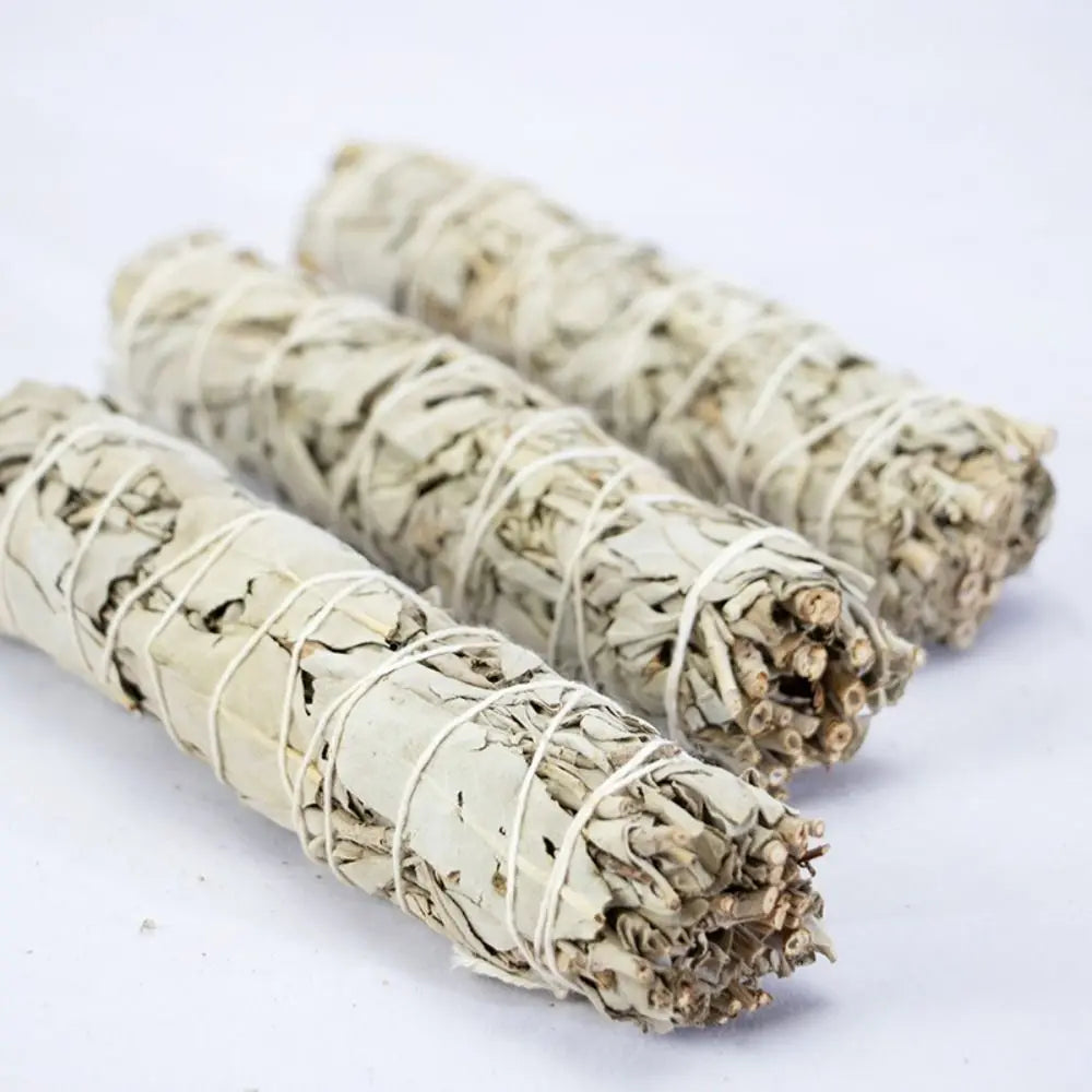 10cm White Sage Bundle