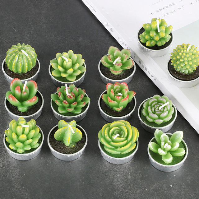 Succulent Plants Aromatic Tea Candles