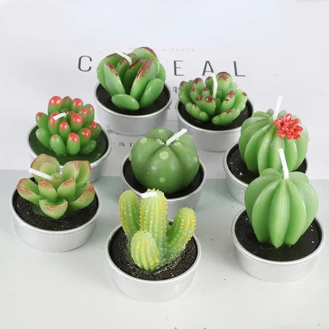 Succulent Plants Aromatic Tea Candles