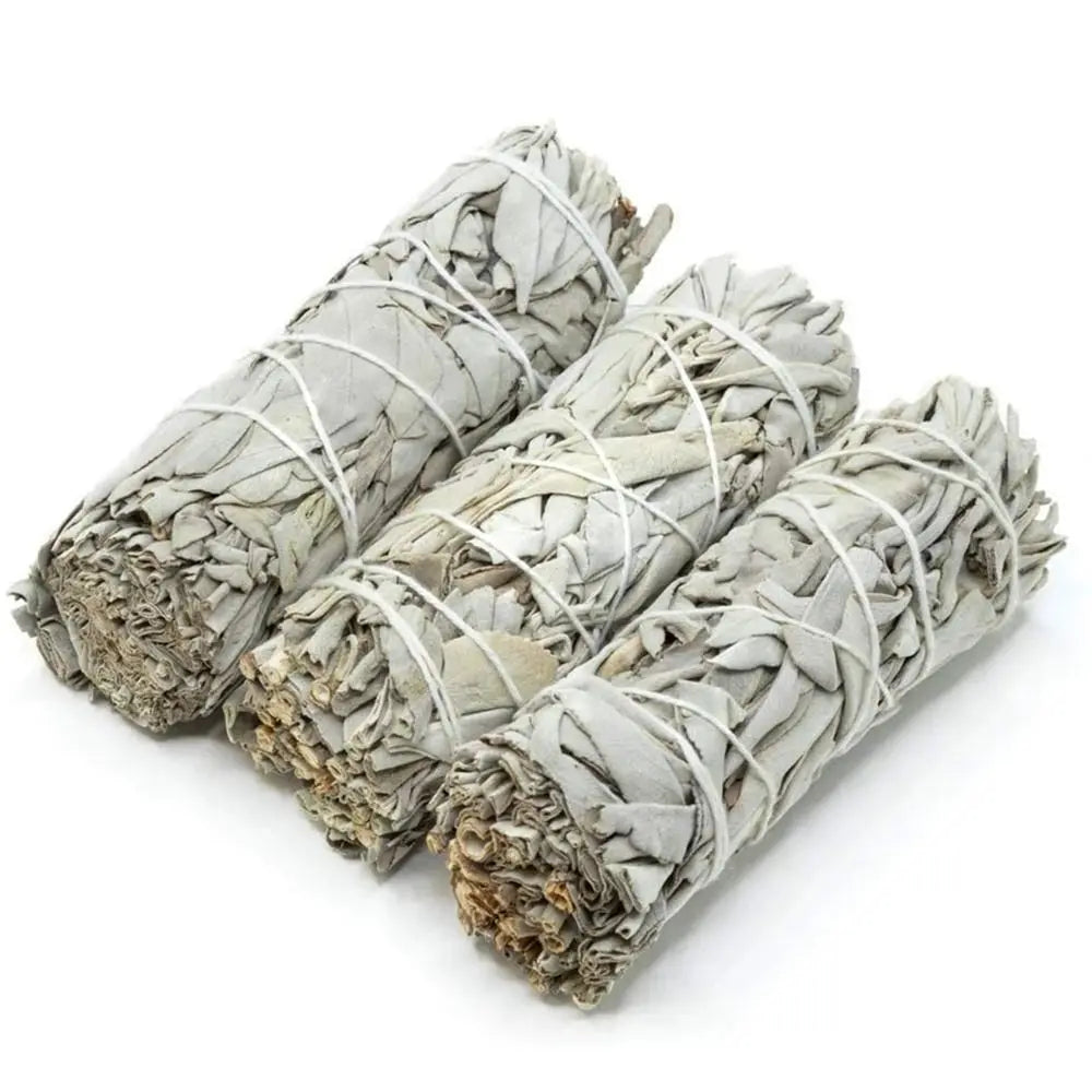 10cm White Sage Bundle