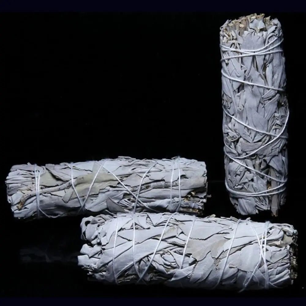 10cm White Sage Bundle