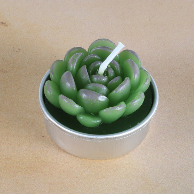 Succulent Plants Aromatic Tea Candles